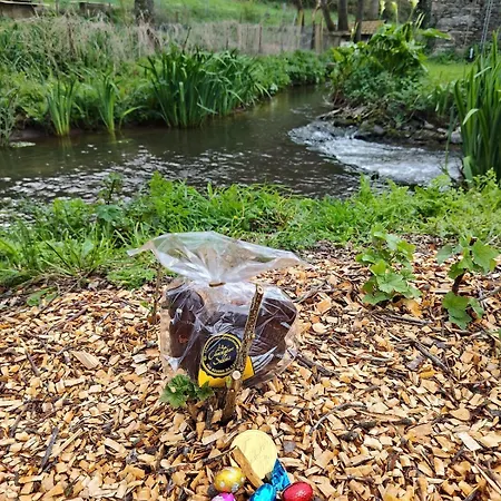 Le Moulin Hochet